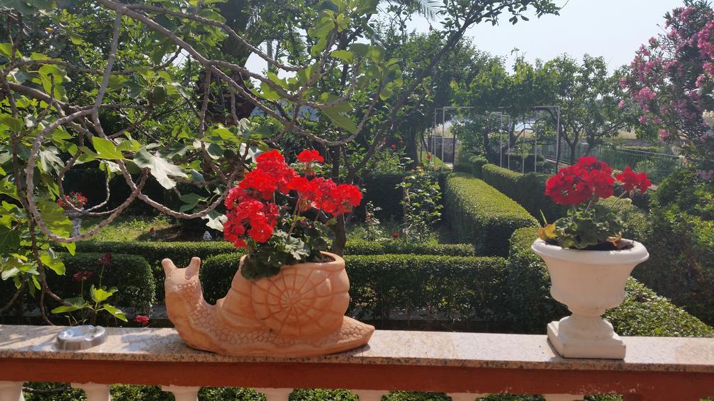 Guesthouse Mira Rab Town Bagian luar foto