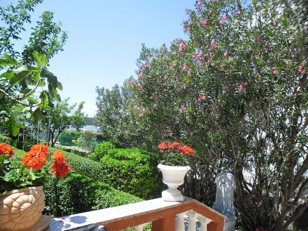 Guesthouse Mira Rab Town Bagian luar foto