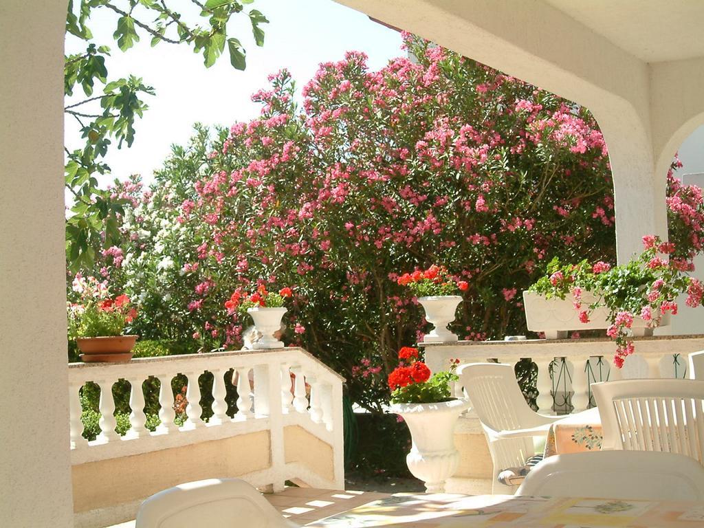 Guesthouse Mira Rab Town Bagian luar foto